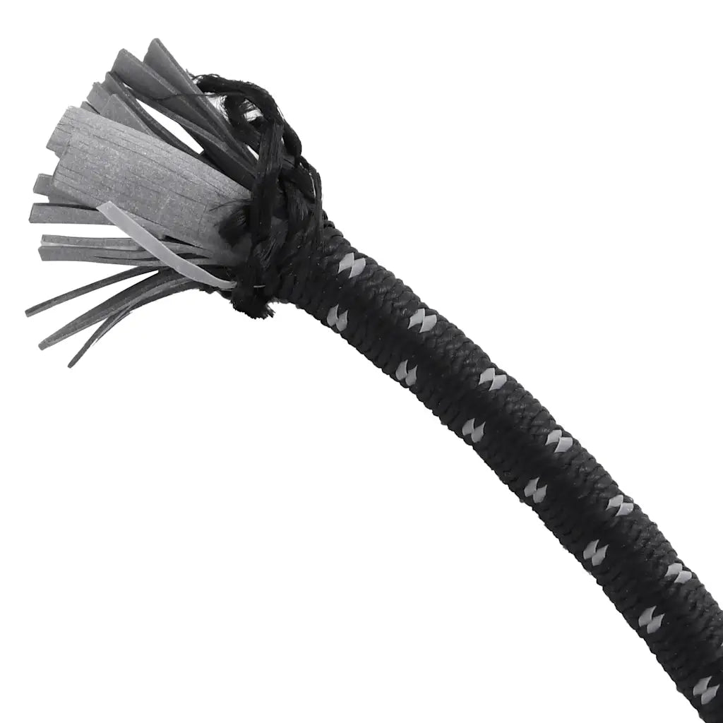 Corde Elastiche con Strisce Riflettenti e Ganci 25 pz 100 cm 4008155