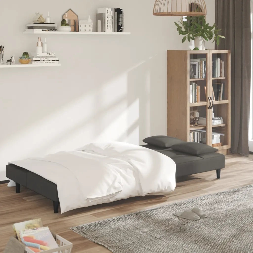 Divano letto | Sof¨¤ letto | Letto singolo a 2 Posti con 2 Cuscini Grigio Scuro in Velluto