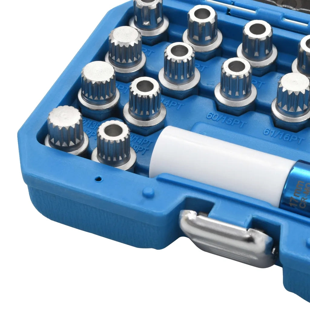 Set di Bussole per Rimozione Dadi 23 pz VAG cod mxl 59904