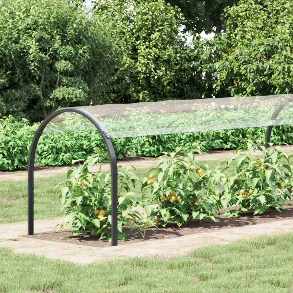 Copertura per Piante Trasparente 20 x 1,5 m PVC CFW7432745