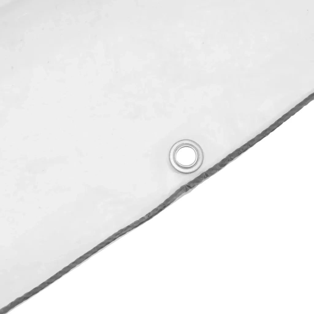 Telone Trasparente con Occhielli 1x10 m in Polietilene