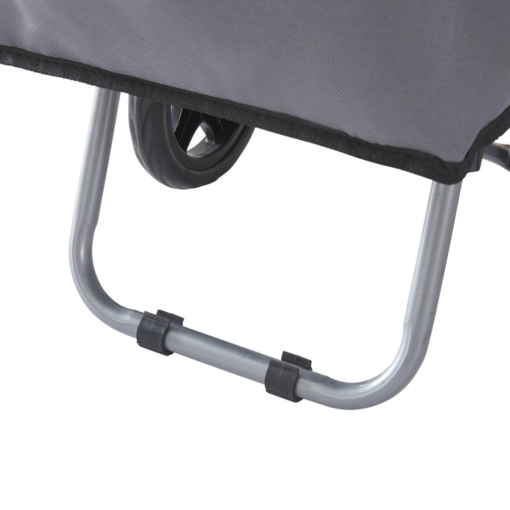 Trolley Portaspesa 'Nørre' Carrello da Spesa Portapacchi a 2 Ruote Telaio Pieghevole Borsa Impermeabile Rimovibile 36 L 30 kg - Grigio Scuro / Nero [en.casa]