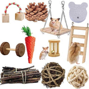 Giocattoli per Hamster e Conigli 21PCS Attività per Animali Piccoli Accessori Cura dei Denti di Molaro Legno di Mele Scale Campanello Rotolatore per Hamster Dwarfs Ratti Chinchiilli Gerbili Conigli (21PCS)