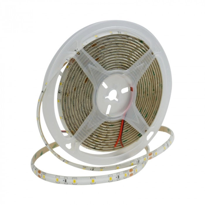 Striscia LED 5m 10,8W/m 24V 3000K IP63 dimmer Ecolight