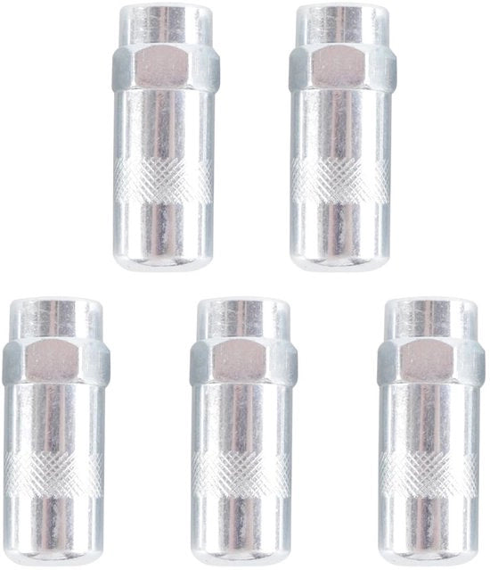 Viti a pressione 5 pezzi - punta per pistola a pressione ad alta pressione - 1/8 NPT connettori di pistola - alta qualità acciaio - galvanizzato - resistente alla rottura - punta lubrificante