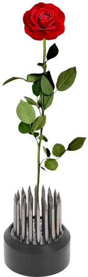 Fioriera in acciaio inossidabile - 26 mm - Per fiori - Stabilità - Progettazione intuitiva - Composizione fiorale