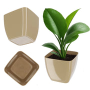 Vaso da fiori KADAX, Vaso da fiori, Quadrato, 16 cm, Plastica, Supporto per fiori, Beige