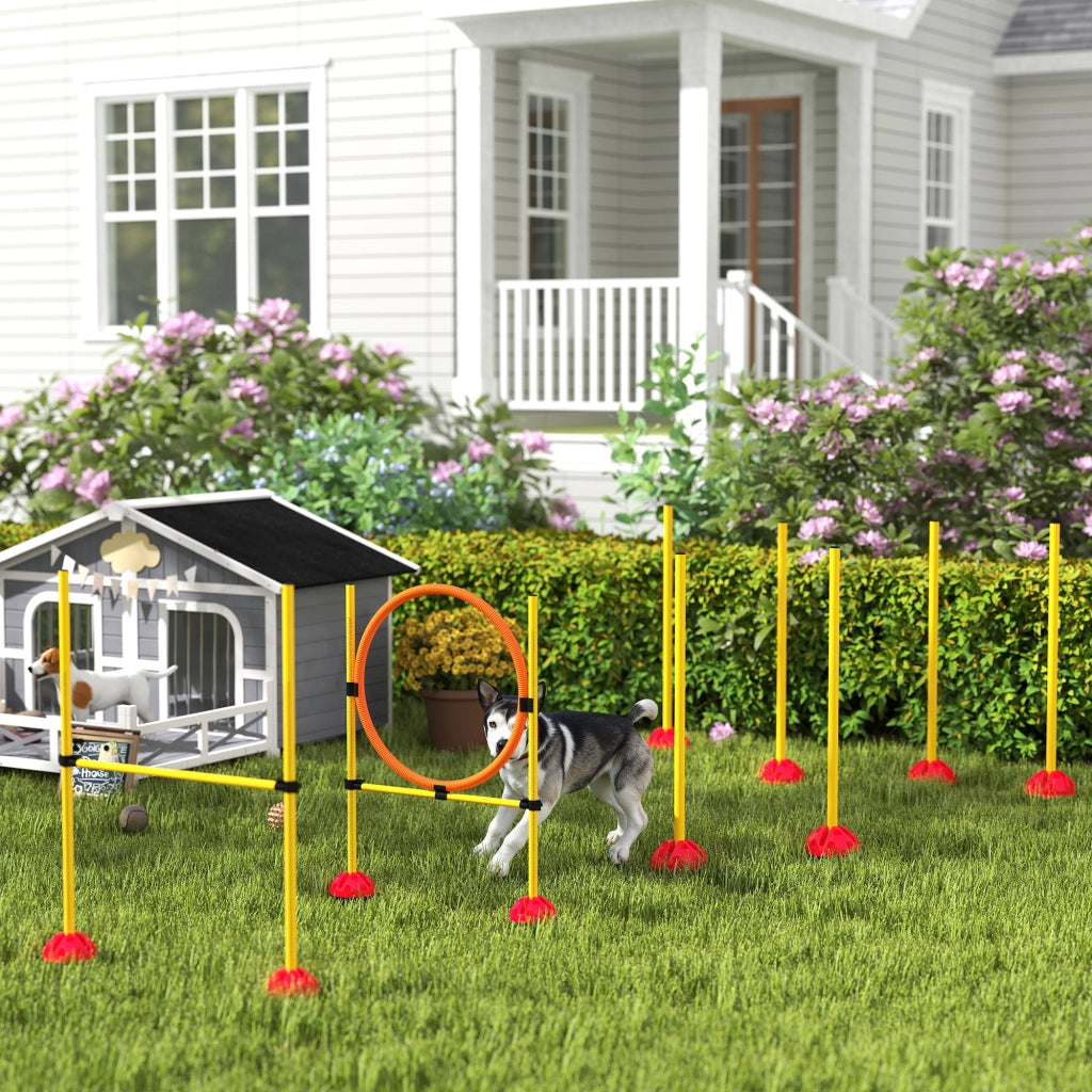 Set Agility per Cani ¨C zephmum ¨C 3 Pezzi, H¨¹rden e Stanghe