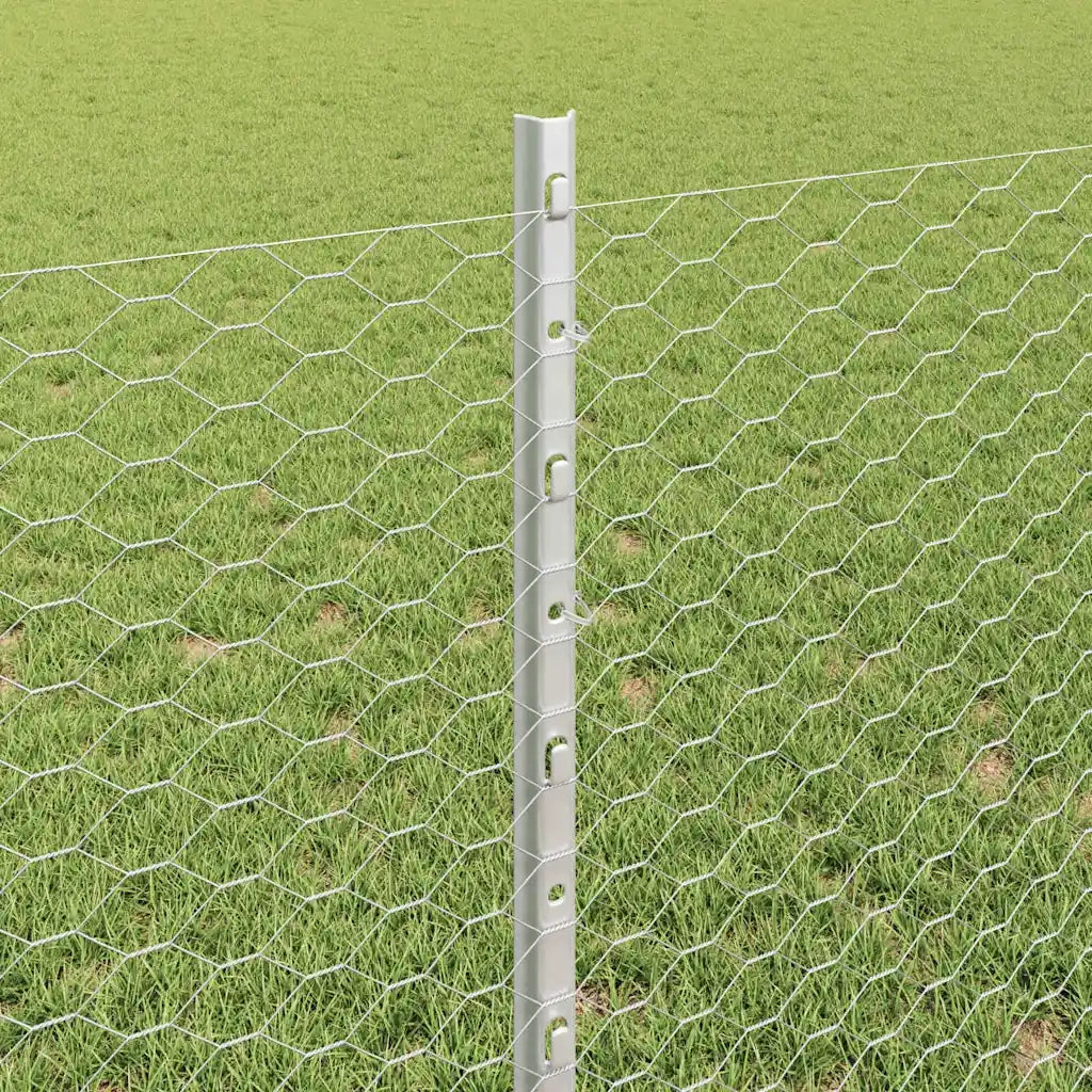 Recinzione da Giardino | Recinzione con Posto Argento