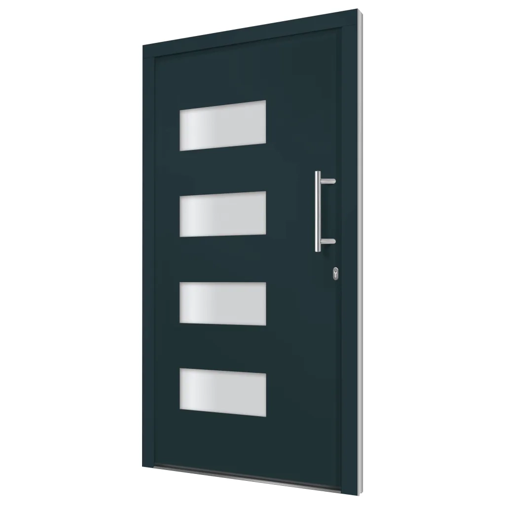Porta d'Ingresso in Alluminio e PVC Antracite 100x200 cm 3056824