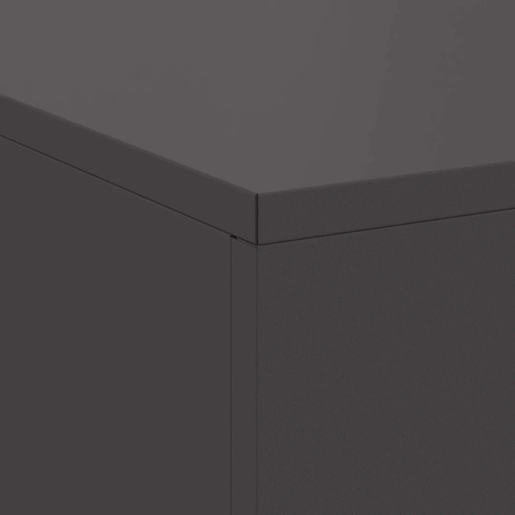 Focolare Nero 100 x 100 x 30 cm Acciaio CFW5935091