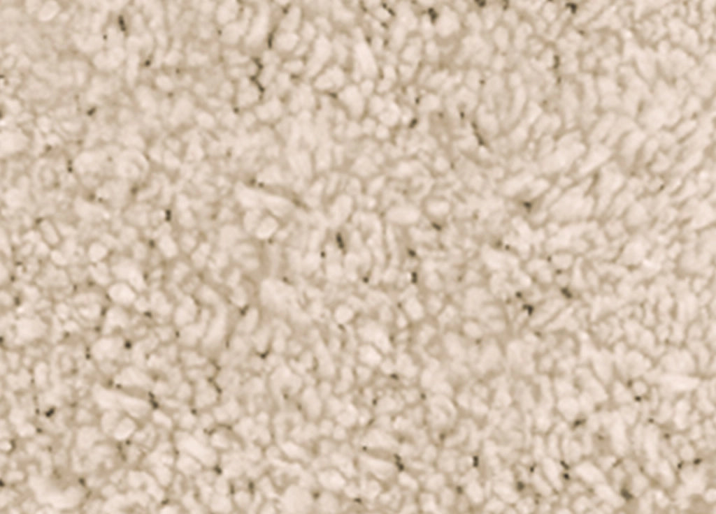 Tappeto Da Bagno Disegno Pois - 50x80 - Beige