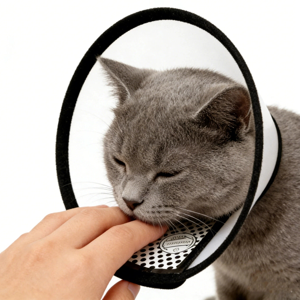 Collare Elisabettiano Regolabile per Cani e Gatti ¨C Minimal ¨C Antimorso Antileccata