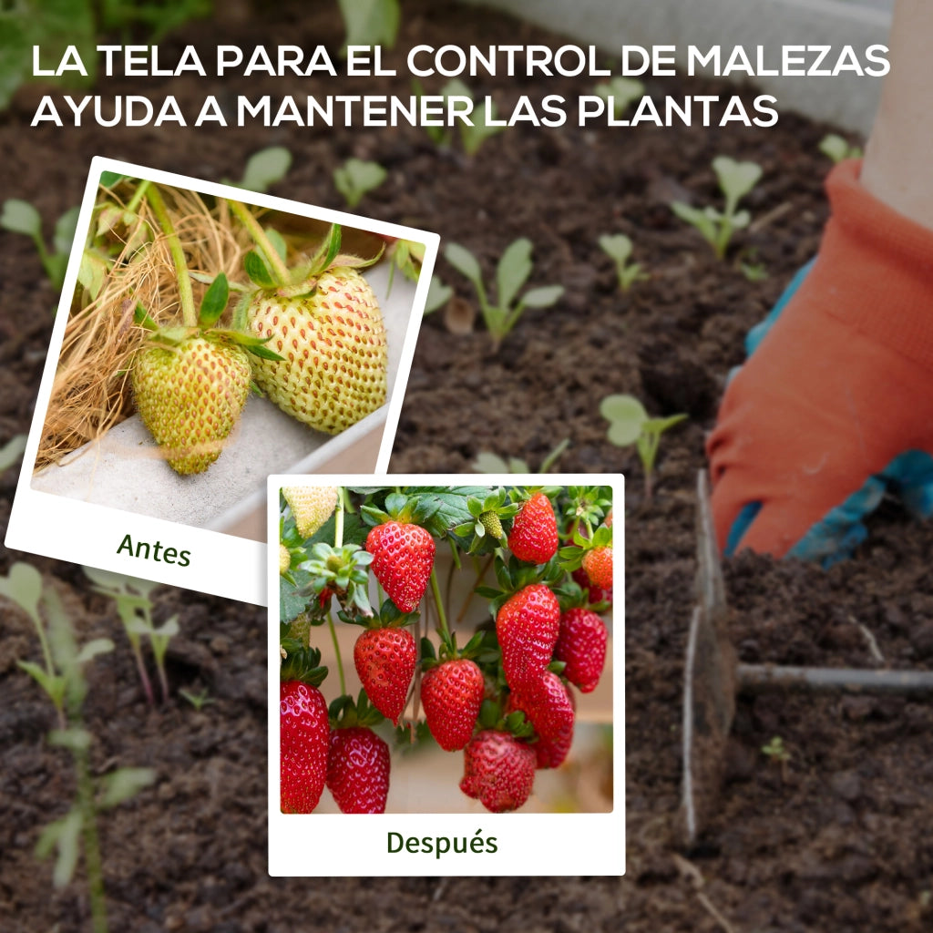 Tessuto Non Tessuto Giardino ¨C Minimal ¨C 2x25 m 60 g/m2 Nero
