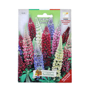 BUSTA SEMENTI FIORI LUPINO RUSSEL