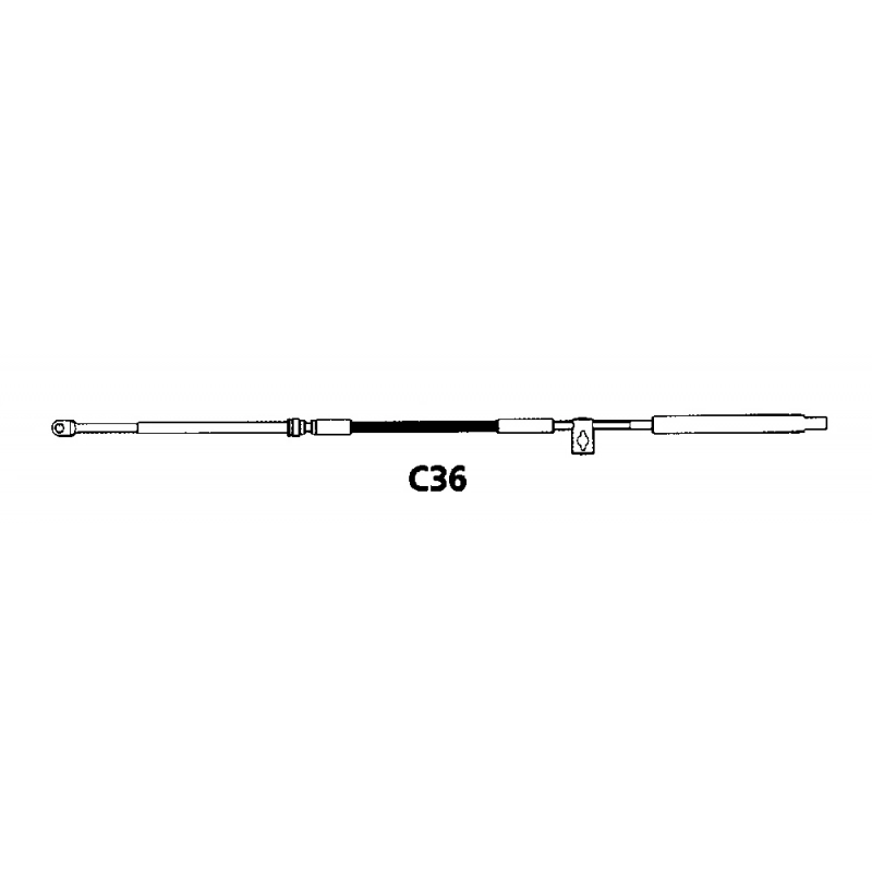 CAVO C36 DA 10' CABLE C36 FT 16'