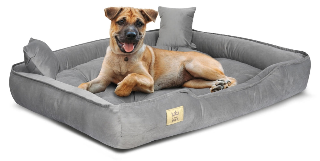 AIO FACTORY Cuccia per cani 130x105 cm in velluto grigio con cuscino impermeabile