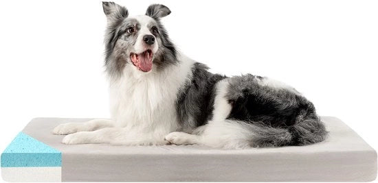 Cuscino per Cani M - Cuscino Ortopedico per Cani, Ideale per le Articolazioni - Copertura Riscaldabile e Riscattabile, 80x50x9cm