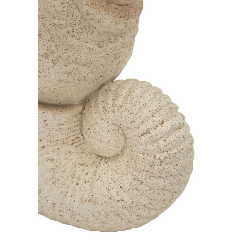 Conchiglia Sand cm 17,2x10x30,2