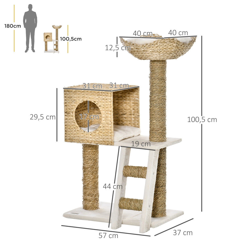 Tiragraffi per Gatti ¨C Xylo ¨C Altezza 100,5 cm con Cuscini e Scala