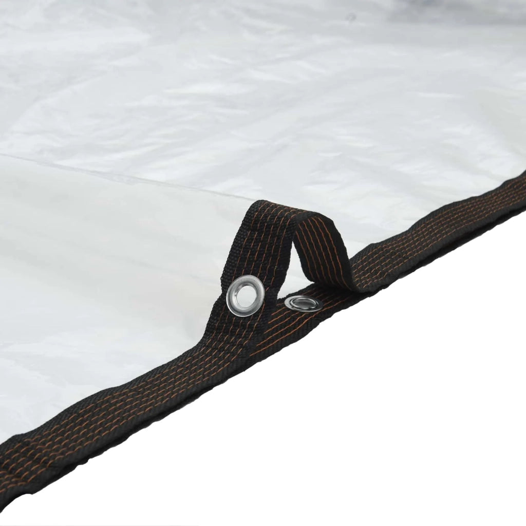 Copertura per Piante Trasparente 3 x 12 m PE 3429313
