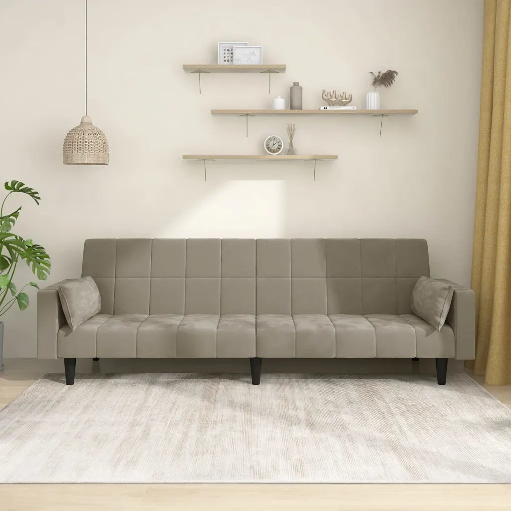 Divano letto | Sof¨¤ letto | Letto singolo a 2 Posti con 2 Cuscini Grigio Chiaro in Velluto