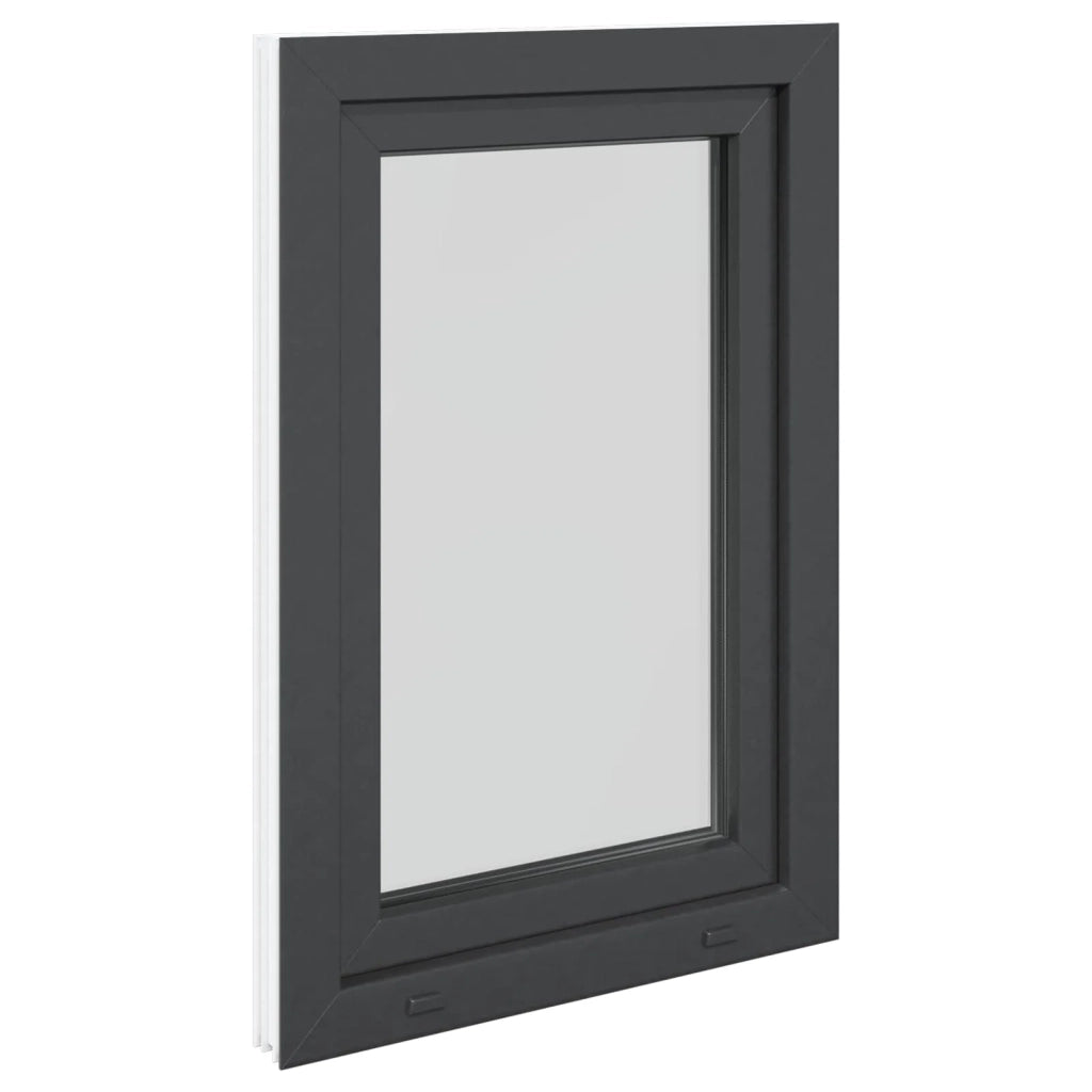 Finestra per Soffitta RISOR 60 x 100 cm PVC e Vetro Antracite
