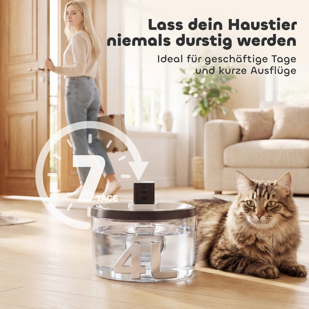 Fontana per Gatti 4L Senza Fili Acciaio Inox con Sensore Movimento 6 Filtri LED ¨C Xylo ¨C Argento