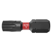 Inserti per Viti TX Lti e Pro Torsion Impact 2 Pezzi 25 x 25 mm