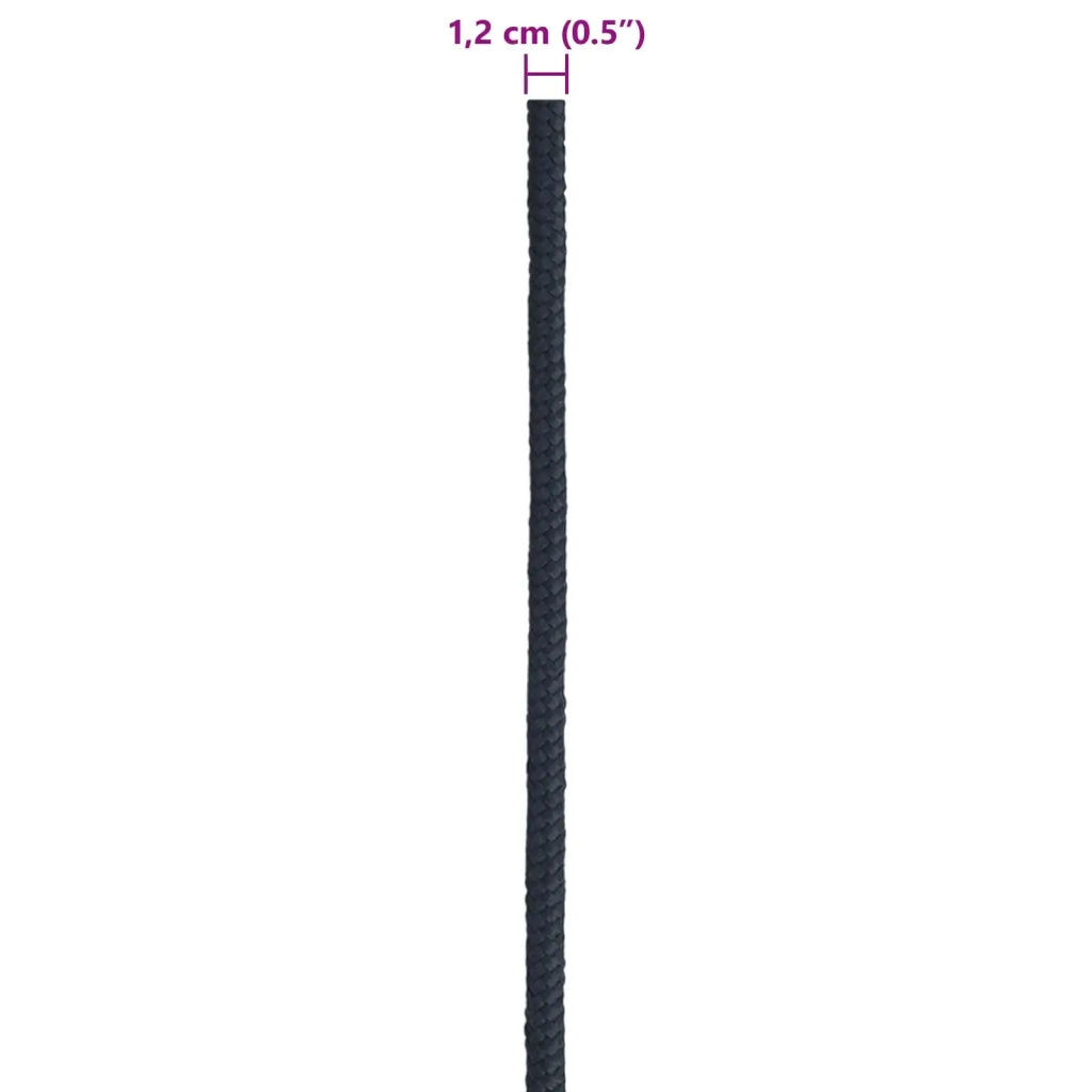 Corda da Barca Blu Reale 250 m Poliestere 42029735