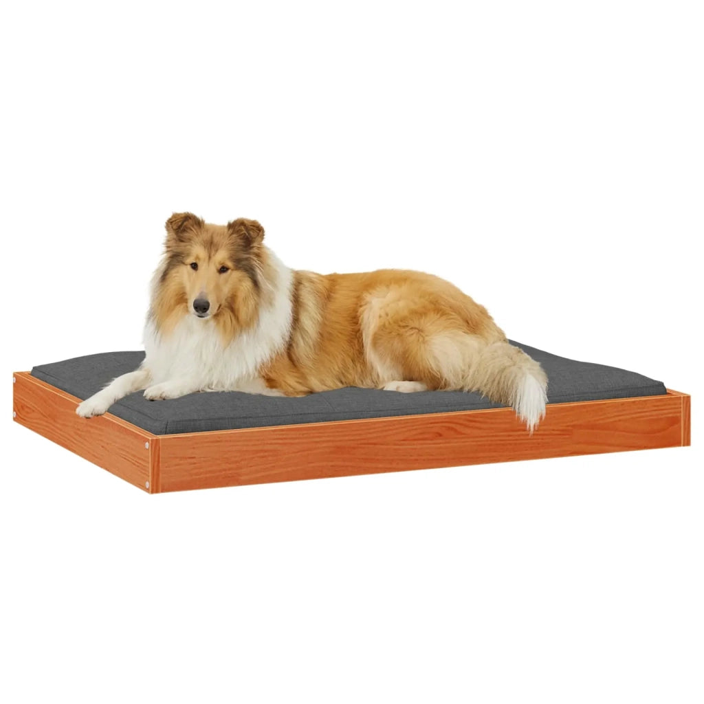 Letto per Cani Marrone cerato 101,5 x 74 x 9 cm 867649