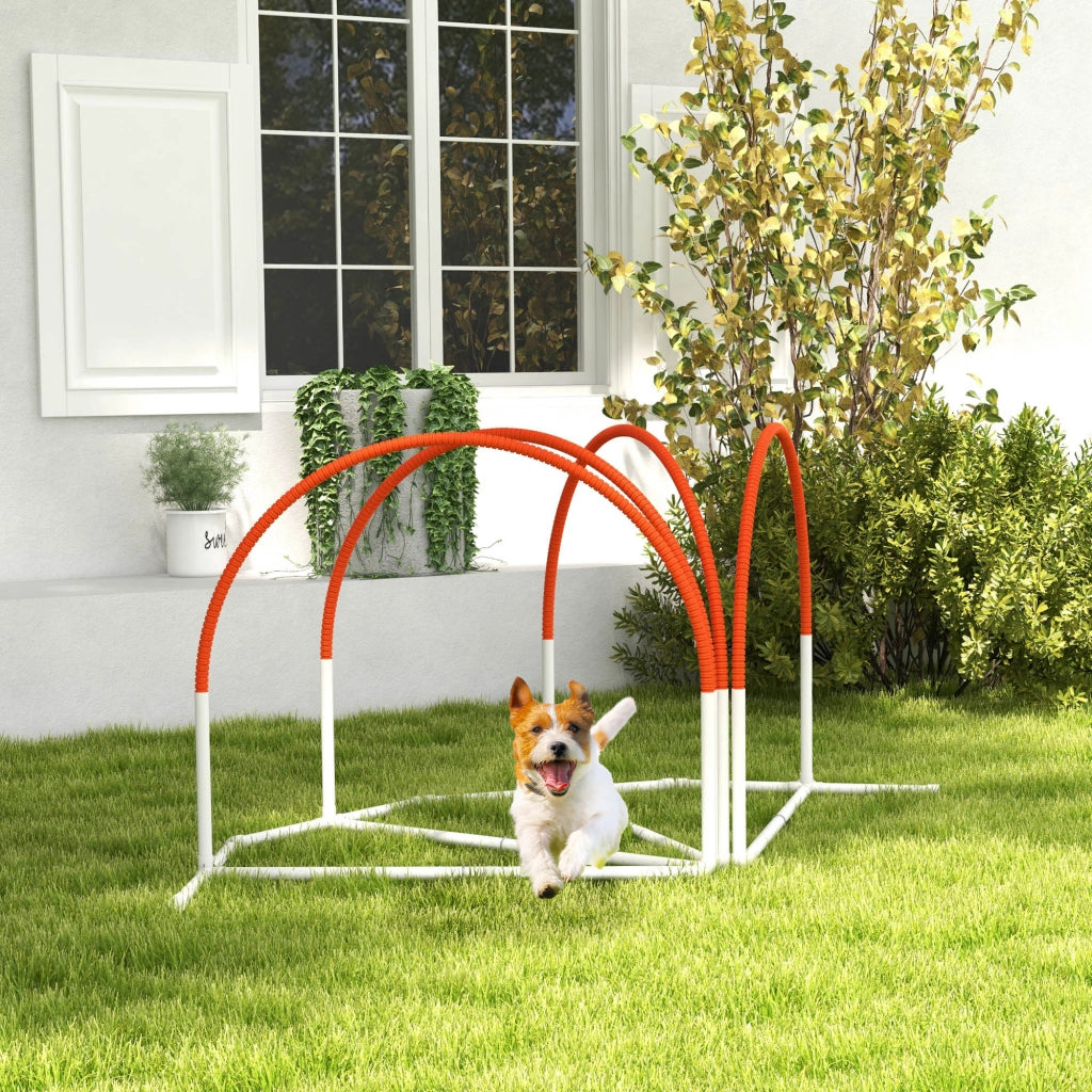 Set per cani Agility 4 pezzi ¨C zephmum ¨C bianco+arancione 89x69x99 cm