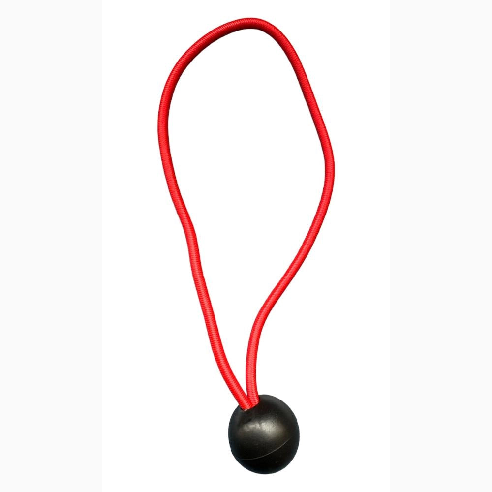 Elastico Tenditelo per teli occhiellati Tenditore Corda con sfera Conf. 10 pezzi