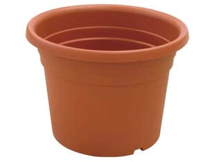 VASO CILINDRO DAHLIA  ø cm.50x36h.    ICS