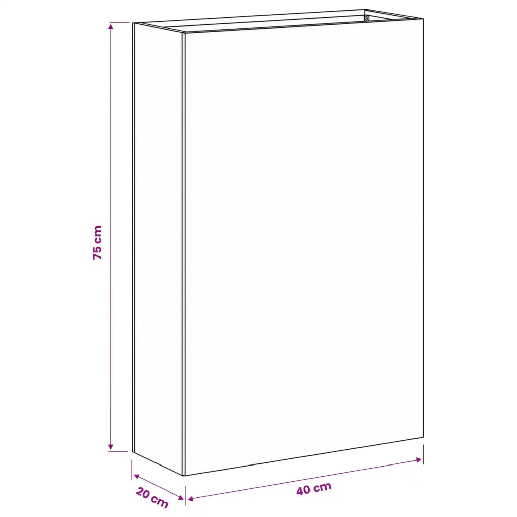 Vaso da giardino 2 pz Argento 40 x 20 x 75 cm Acciaio Inox 8005437