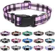 Cinturino per cani - Stile e comodità - 1 pezzo - Nylon