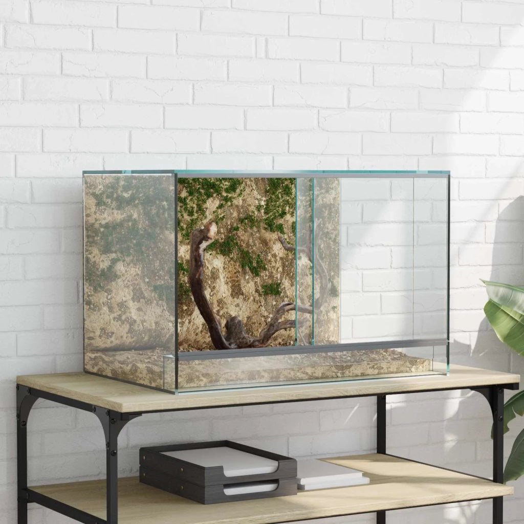 Terrario con archiviazione Trasparente 60 x 40 x 40 cm Vetro