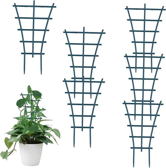 Mini vitiere per piante da appartamento - 6 vitiere mini per piante con rete in plastica