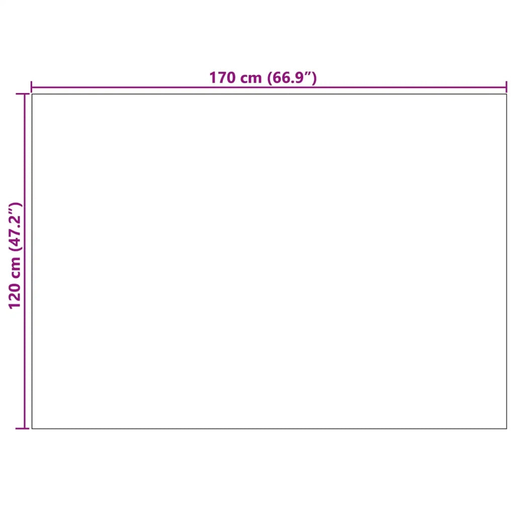 Tappeti per area PALMERAS Beige 170 x 120 cm Poliestere 42022585