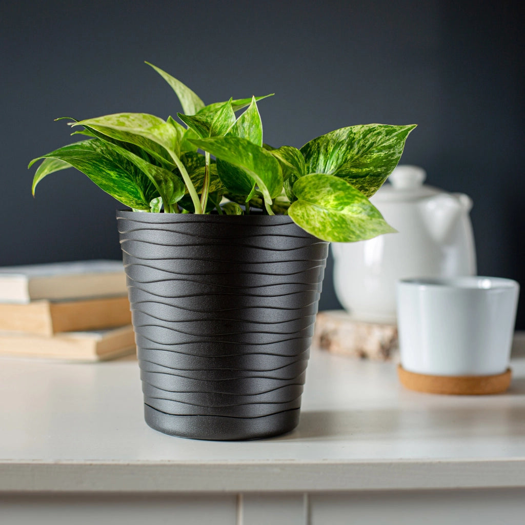 Vaso da fiori KADAX da 13 cm, coprivaso in plastica con supporto.