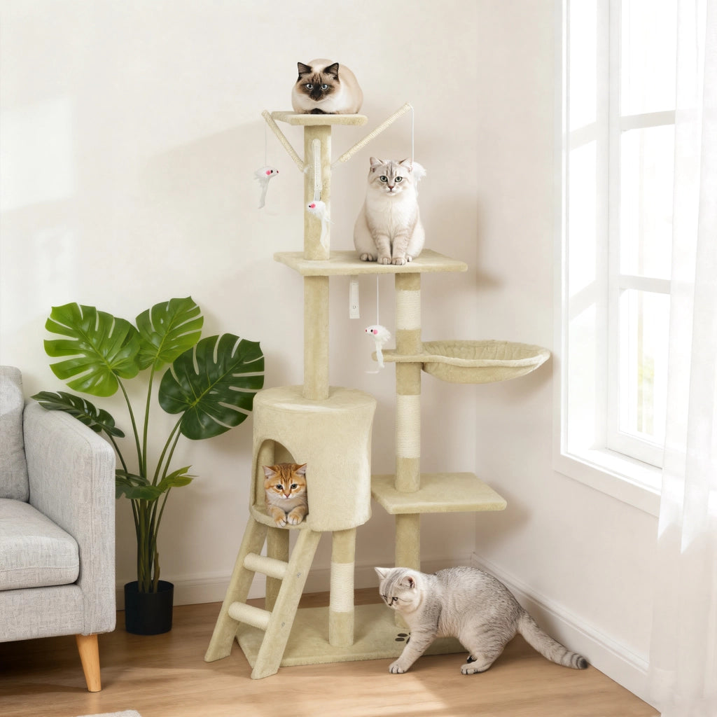 Torre per Gatti con Casetta e Piattaforme ¨C Xylo ¨C 60x35x134 cm Beige