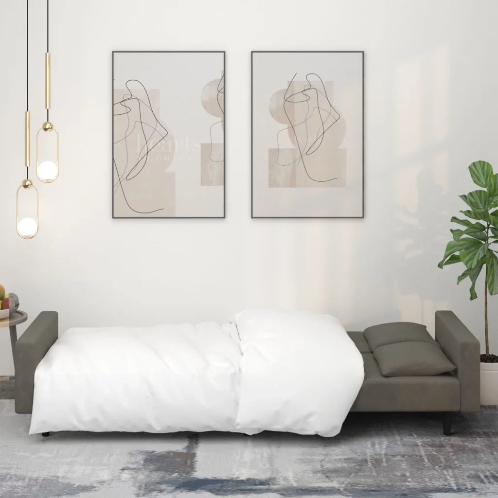 Divano letto | Sof¨¤ letto | Letto singolo a 2 Posti con 2 Cuscini Grigio Scuro in Velluto