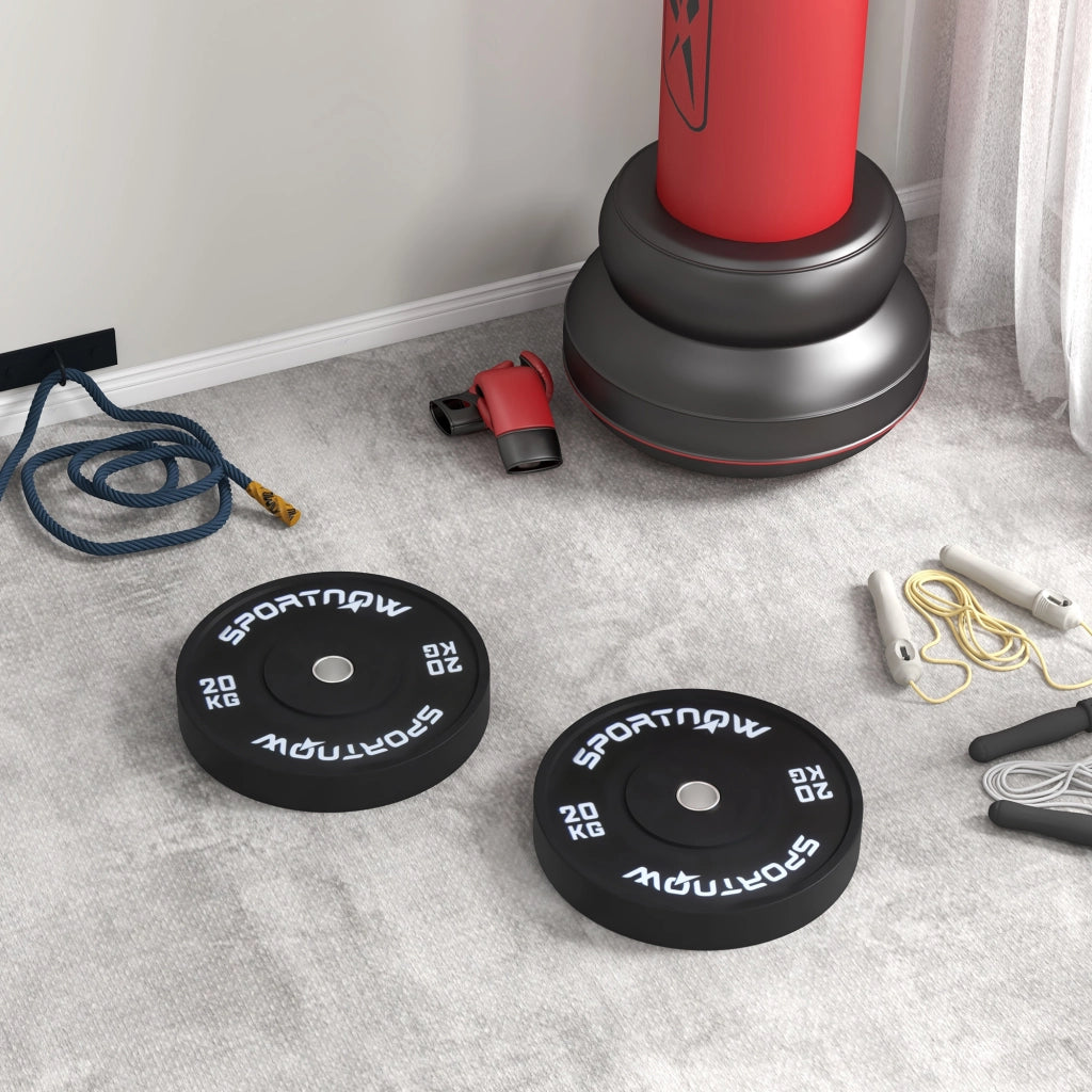Disco da Palestra 20kg ¨C zephmum ¨C Nero ?5cm