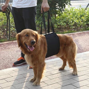 Aiuto per salire e scendere per cani anziani o malati - Assistente per salire e scendere veicoli - Dimensione Extra Grande