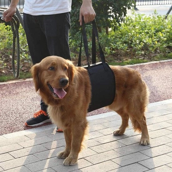 Aiuto per salire e scendere per cani anziani o malati - Assistente per salire e scendere veicoli - Dimensione Extra Grande