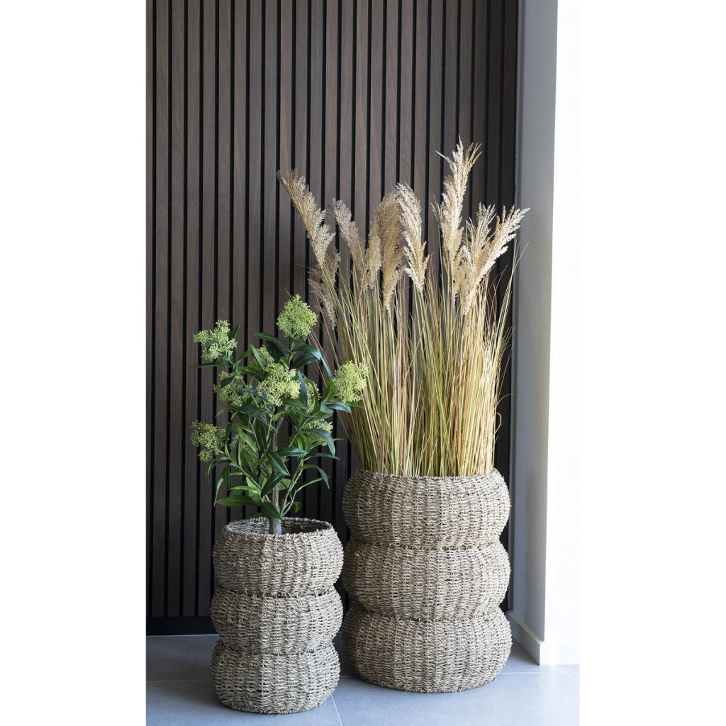 Pianta Artificiale Skimmia, Verde, Polietilene, 40x40x75 cm