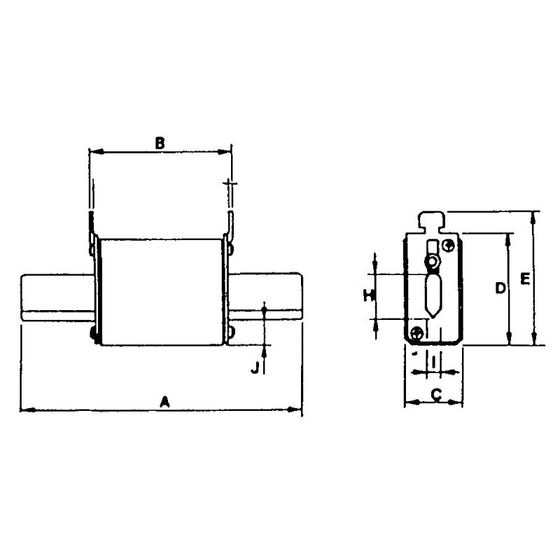 FUSIBILE 100 AMP.