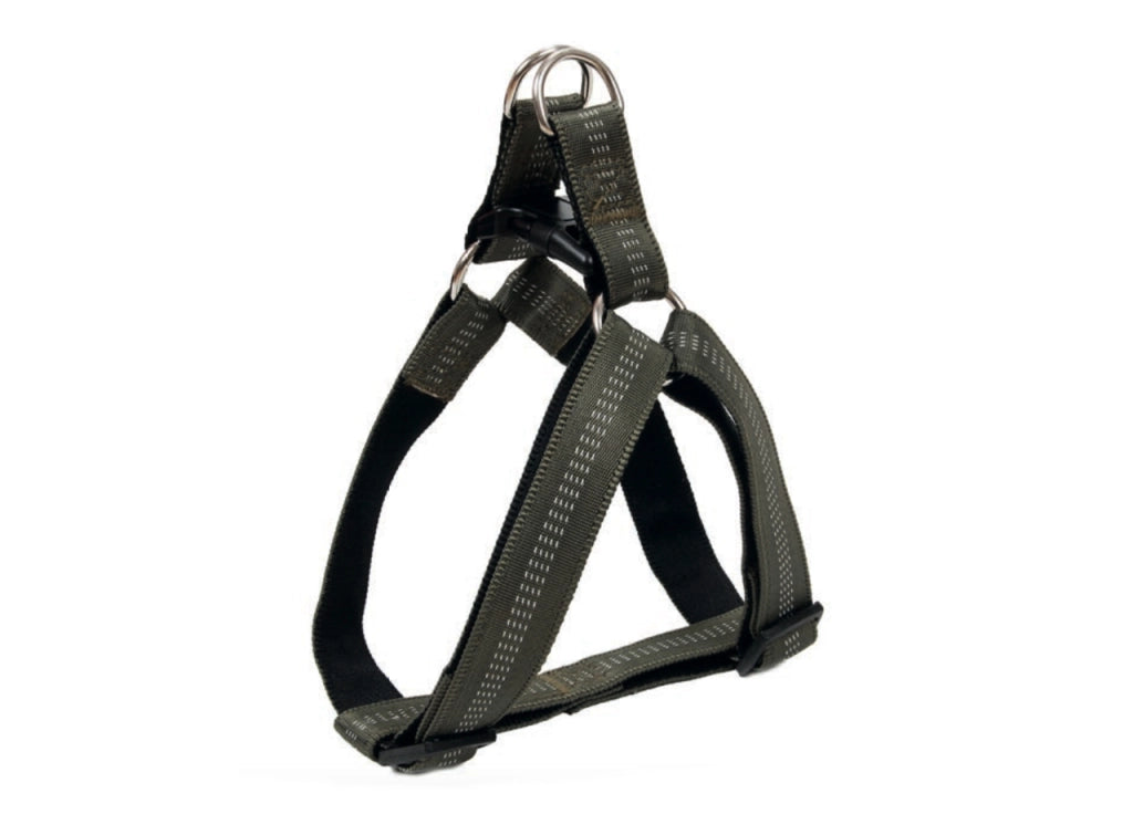 Pettorina Per Cani Regolabile E Resistente Modello Color Doggy - L - Verdone