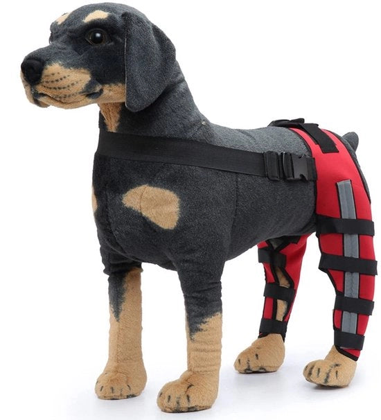 Supporto per ginocchia per cani - Protezione per ginocchia per cani - Materiali in neoprene - Resistente allo shock - Adatto per cani grandi/piccoli - Riduzione delle lesioni - Aiuto per cani