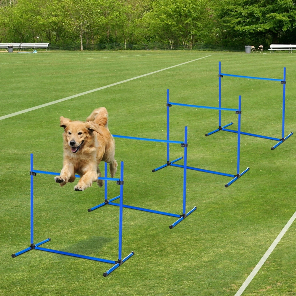 Set Ostacoli Agility per Cani ¨C Xylo ¨C 4 Pezzi Professionale con Borsa